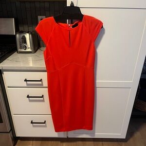 Dress NWT Size 6